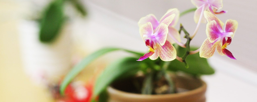 当院の取り組み